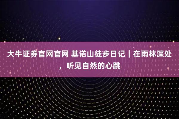大牛证券官网官网 基诺山徒步日记｜在雨林深处，听见自然的心跳